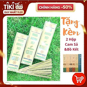 Mua Combo 3 hộp nhang khuynh diệp Dương Minh - nhang sạch organic