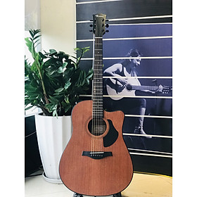 Đàn Guitar Acoustic Rosen G15