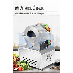 Mua Máy thái rau củ đa năng YC-220C