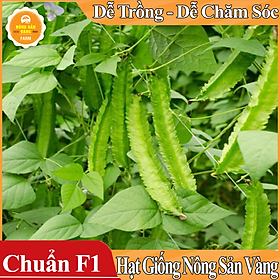 Mua Hạt giống Đậu Rồng ( Gói 10 Gram ) - Nông Sản Vàng