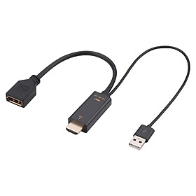 HDMI/M+USB2.0 to DP/F Connector 0.25M Cable Unidirectional for PS4 Laptop PC