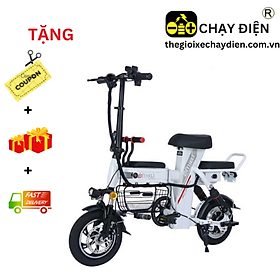 XE ĐẠP ĐIỆN GẤP THELI 02 15AH