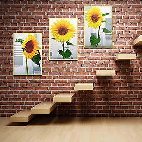 Bộ 3 tranh canvas treo tường Decor hoa hướng dương - DC088