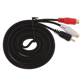 RCA Male to 2 RCA Female Y Splitter Adapter Cable Converter Cable