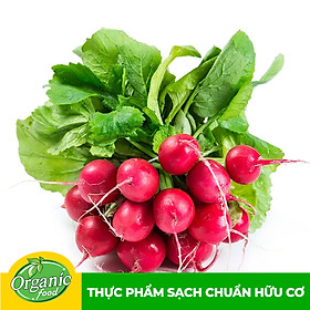 Củ Cải Đỏ hữu cơ Organicfood - 350g