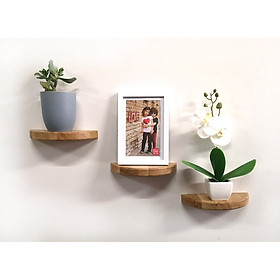 Mua set 3 kệ treo tường trang trí để đồ lưu niệm cây cảnh mini nửa hình tròn