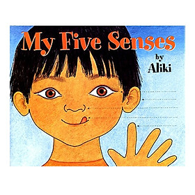 Lrafo L1: My Five Senses (Big)