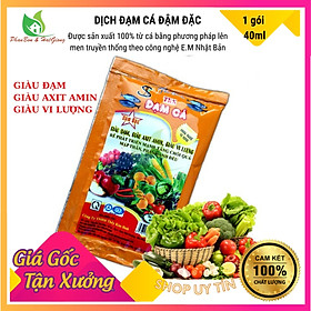 Mua Phân Bón Đạm Cá Phân Bón Lá  40ml đậm đặc  Bón Hoa Hồng  Cây Cảnh  Rau Sạch