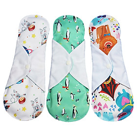 Băng vệ sinh vải WingPad - Mua 3 miếng 29cm - Tặng 1 miếng 17cm - Giao mẫu ngẫu nhiên
