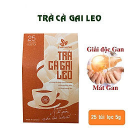 Trà Cà gai leo Thái Hưng 25 túi lọc - Mát gan, giải độc, giải rượu