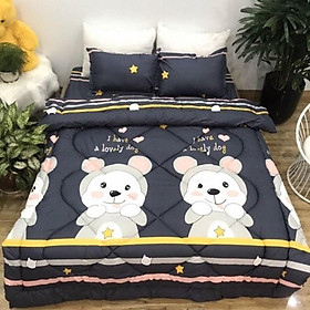 Mua Bộ chăn phao kèm ga chun và 2 vỏ gối nằm tặng kèm 1 vỏ gối ôm (chat chọn mẫu)