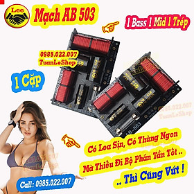 Mua MẠCH LOA AB 503 – MẠCH 1 BASS 1 MID 1 TREP - GIÁ 2 MẠCH 3 LOA AB503