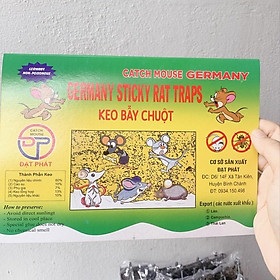 Mua Combo 10 miếng keo dính chuột