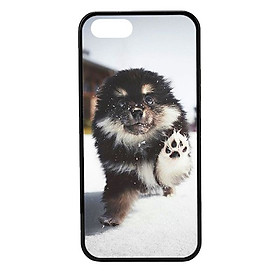 Ốp lưng cho điện thoại Iphone 5 CB 29 - Hàng chính hãng