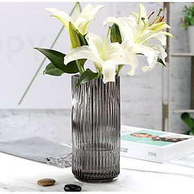 Mua Lọ hoa thủy tinh vân sọc dọc hình trụ phong cách trang nhã trang trí nhà cửa