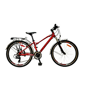 Xe đạp thể thao ASAMA TRK-PK2601 26