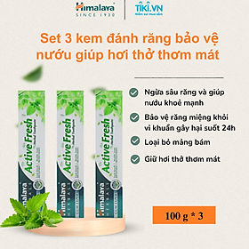 [HSD: 30/06/2026] COMBO 3 TUÝP KEM ĐÁNH RĂNG HIMALAYA ACTIVE FRESH HERBAL TOOTHPASTE BẢO VỆ NƯỚU GIÚP HƠI THỞ THƠM MÁT