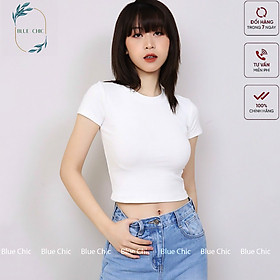 Áo croptop nữ Hiền Trần BOUTIQUE cổ tròn cộc tay vải thun ôm body crotop nữ cotton co giãn tốt nhiều màu
