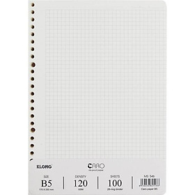 Ruột giấy refill sổ còng Caro B5 - 100 tờ; MS: 546