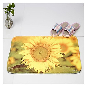 Mua Thảm lau chân hình Hoa 3D chống trượt (KT 40 x 60cm) - Giao mầu ngẫu nhiên