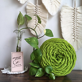 Mua Dây 3 xoắn 5MM thắt Macrame