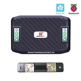 Mua Đồng Hồ Đo Điện DC 4 Thông Số 100A Modbus RS485 PZEM-017 (Hỗ trợ HomeAssistant)