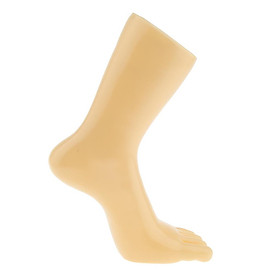 Unisex Plastic Foot Model Mannequin Feet for Shoes Sock Display   Left
