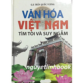 Văn hóa việt nam tìm tòi và suy ngẫm - GS Trần Quốc Vượng