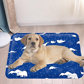 Pet Cooling Mat Nonslip Pad Portable Sleeping Pad for Indoor Bed Blue 30cmx40cm