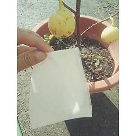 Mua 50 túi bọc sung mĩ.