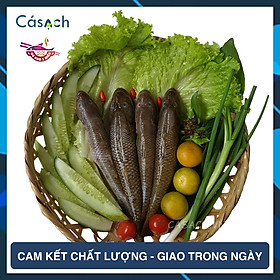 Cá bống cát làm sạch size vừa - 300 g