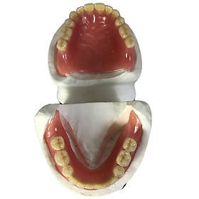 Shijiayichi Răng chức năng toàn miệng Nướng răng sứ Răng miệng CiYa