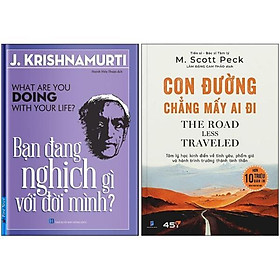 Combo sách con đường chẳng mấy ai đi + bạn đang nghịch gì với đời mình?
