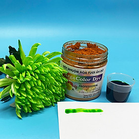 Mua Thuốc Bột Nhuộm Hoa Tươi (Combo 3 hộp tùy màu) giúp đổi màu hoa cắt cành (1 hủ pha 12L nước màu)