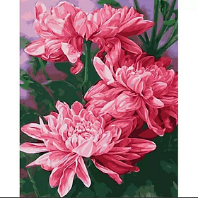 Mua Tranh sơn dầu số hóa DIY đã căng khung khổ 40x50cm - Tranh hoa cúc đại