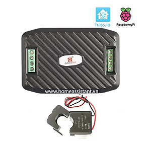 Mua Đồng Hồ Đo Điện AC 1 Pha 6 Thông Số 100A RS485 Modbus PZEM-016 (Hỗ trợ HomeAssistant)