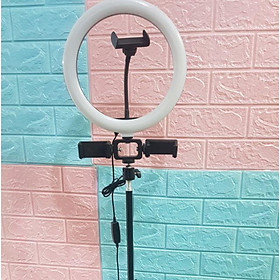 Đèn LiveStream Live 26CM + 3 Kẹp ĐT + Chân 1.6M Full Bộ live stream nhiều máy