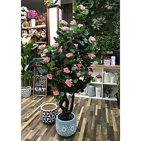 Cây Hoa Hồng nhựa trang trí nhà cửa