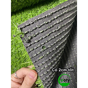 Mua Thảm cỏ nhân tạo 2cm 1m2 Eotygroup - Thảm cỏ nhân tạo sân vườn  dán tường 2cm