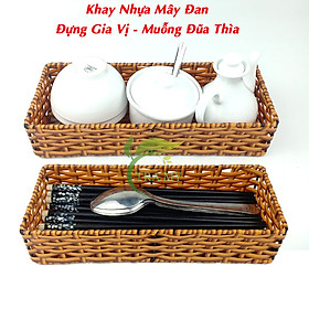 Mua Khay Đựng Gia Vị Muỗng Đũa Quán Ăn 10 x 25 cm Bằng Nhựa Đan Khung Sắt Kiểu Mây Tre Đan Bền Dễ Vệ Sinh
