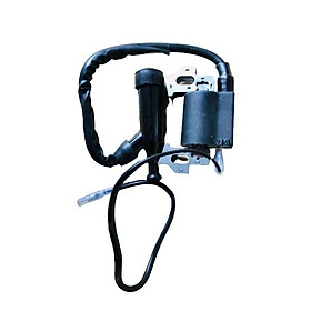Mua IC máy xăng máy nổ đẩu nổ 5.5 / 6.5 HP loại tốt