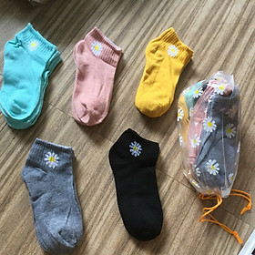 Set 10 đôi tất ngắn cổ họa tiết hoa cúc xinh xắn (Giao màu ngẫu nhiên)