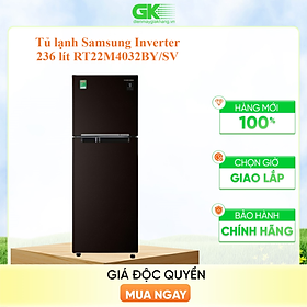 Tủ Lạnh Inverter Samsung RT22M4032BY/SV (236L) - Hàng Chính Hãng - Chỉ Giao tại HCM