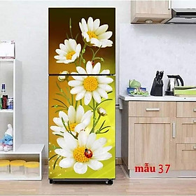 Mua MIẾNG DÁN TỦ LẠNH 3D CHỐNG THẤM MẪU 37
