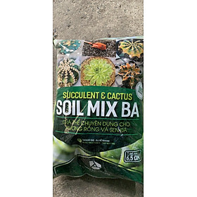 Giá thể sen đá, xương rồng Soil Mix BA trộn sẵn 6,5dm3