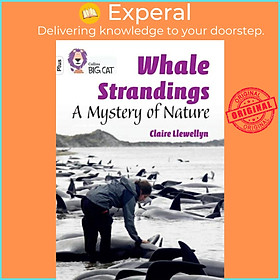 Sách - Whale Strandings: A Mystery of Nature - Band 10+/White Plus by Claire Llen (UK edition, paperback)
