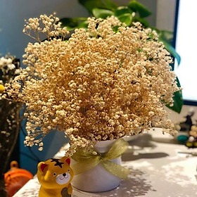 Mua GIỎ HOA KHÔ VĨNH CƯU MIX CÁC LOẠI SẴN HÀNG