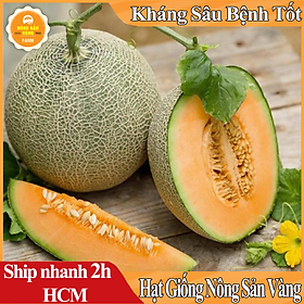 Hạt giống Dưa Lưới Ruột Vàng ( Gói 20 hạt ) - Nông Sản Vàng