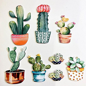 Decal thước đo xương rồng