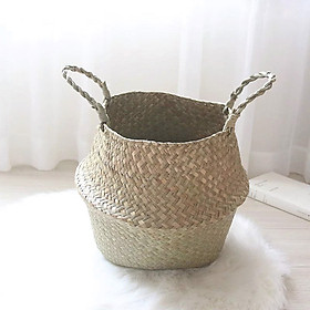 Giỏ cói trồng cây